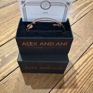Alex and Ani Rose Gold Bangle